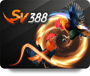 H19 Sòng Bạc Vàng Winning Strategies Revealed